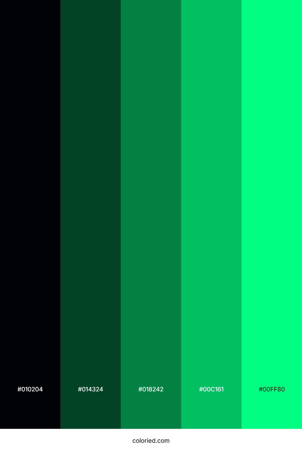 Midnight and Emerald Color Palette