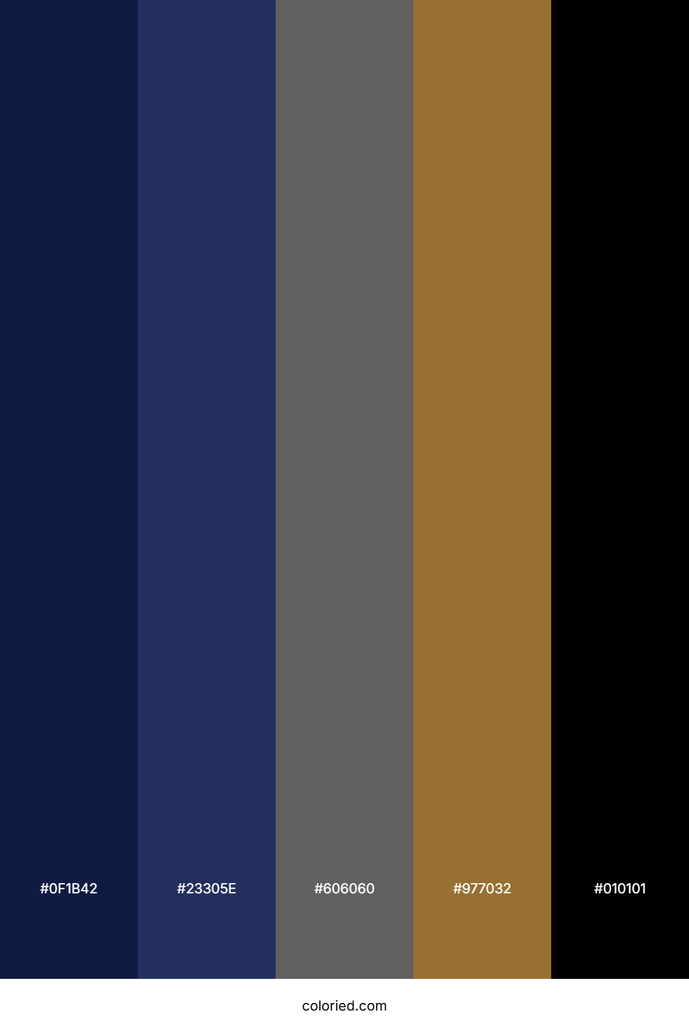 Midnight and Gold Color Palette