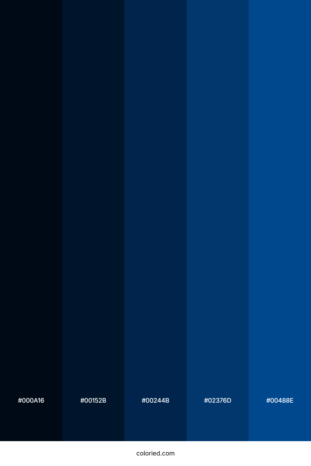 Midnight And Ocean Color Palette