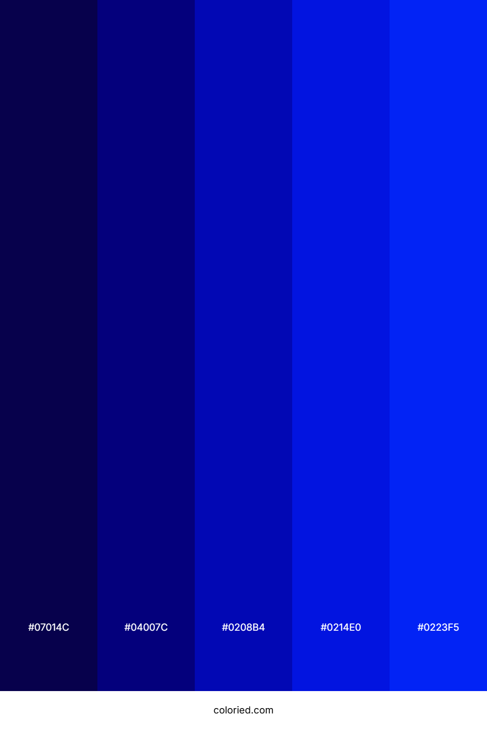 Midnight and Royal Blue Color Palette