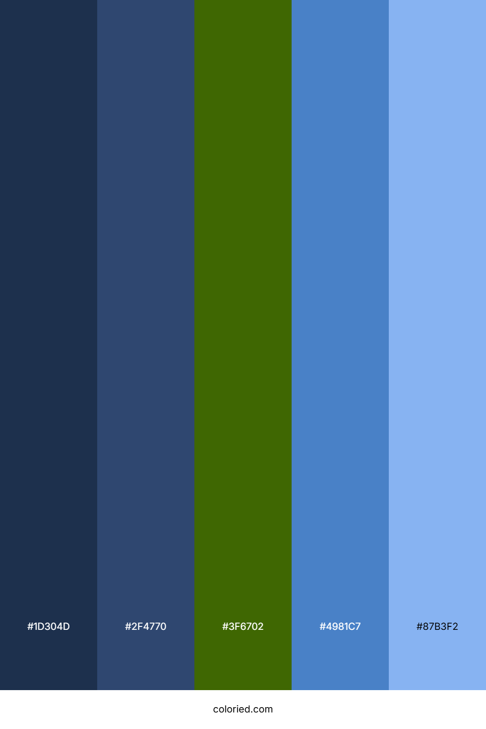 Midnight and Sky Color Palette