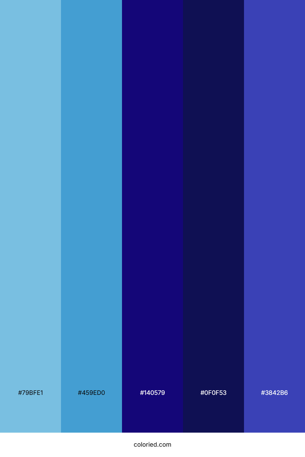 Midnight Arctic Veil Color Palette
