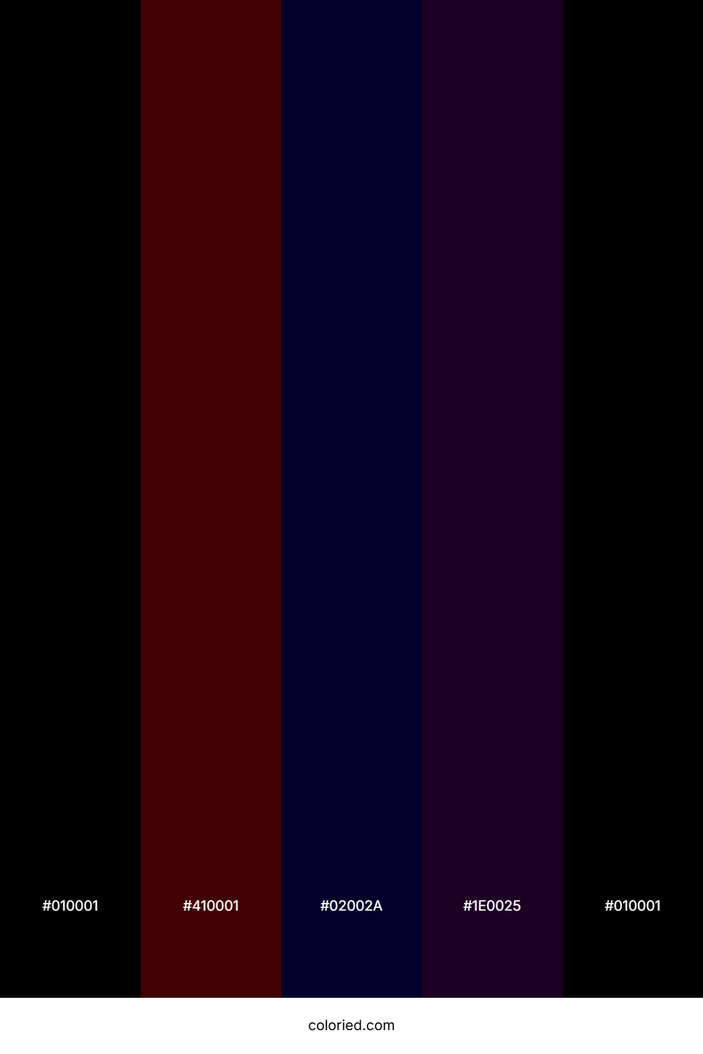 Midnight Black and Deep Violet Color Palette