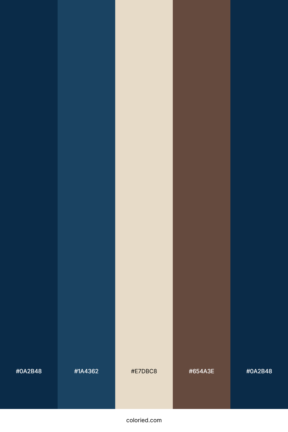 Midnight Blue And Cocoa Color Palette