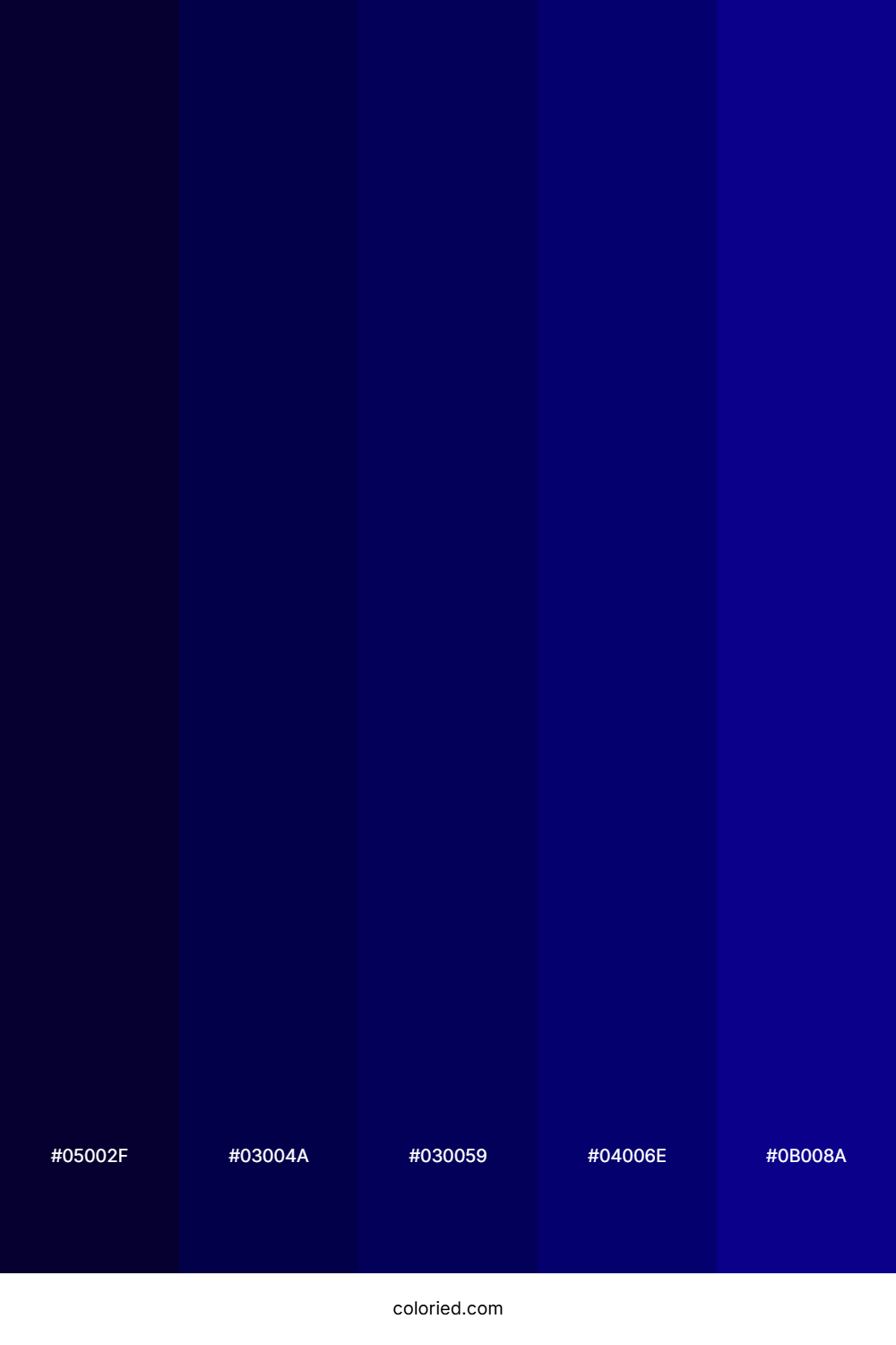 Midnight Blue and Deep Indigo Color Palette