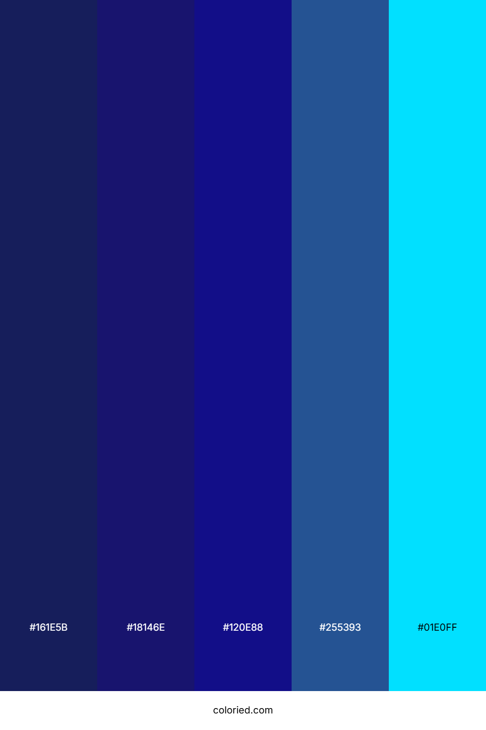 Midnight Blue and Electric Blue Color Palette
