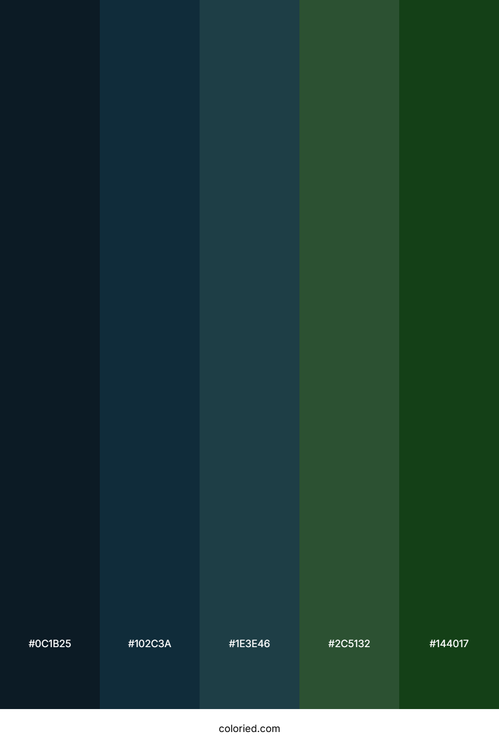 Midnight Blue And Forest Green Color Palette