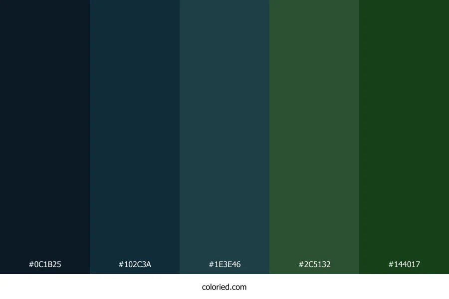 Midnight Blue and Forest Green Color Palette