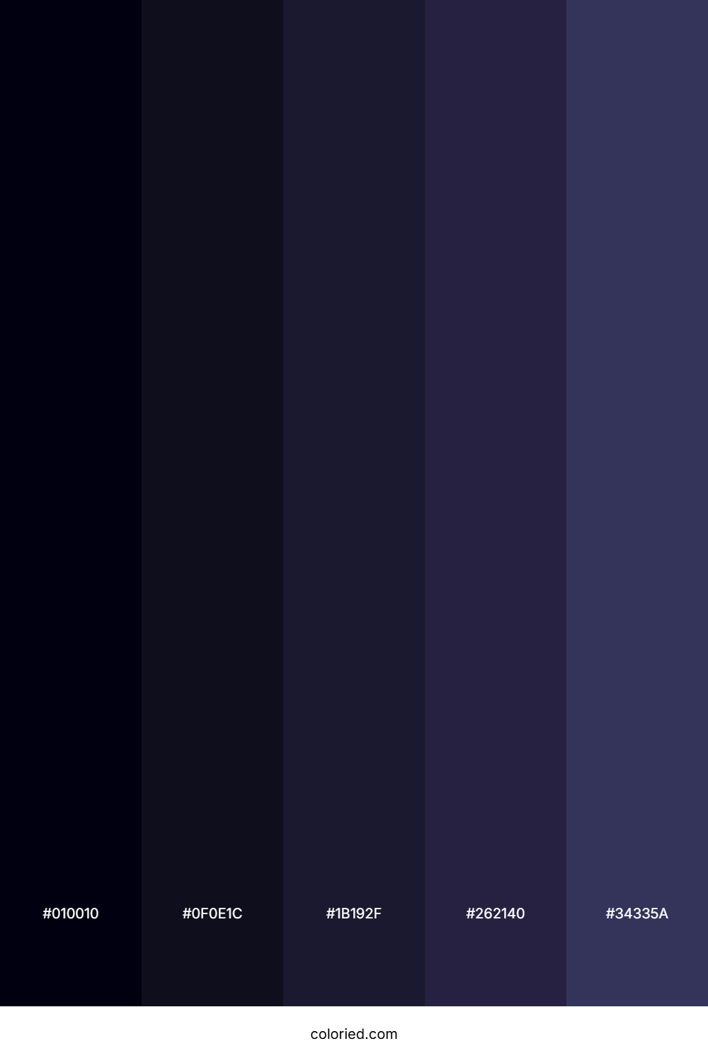 Midnight Blue and Navy Color Palette