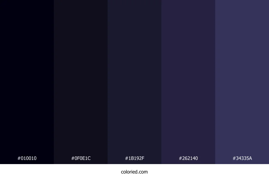 Midnight Blue and Navy Color Palette