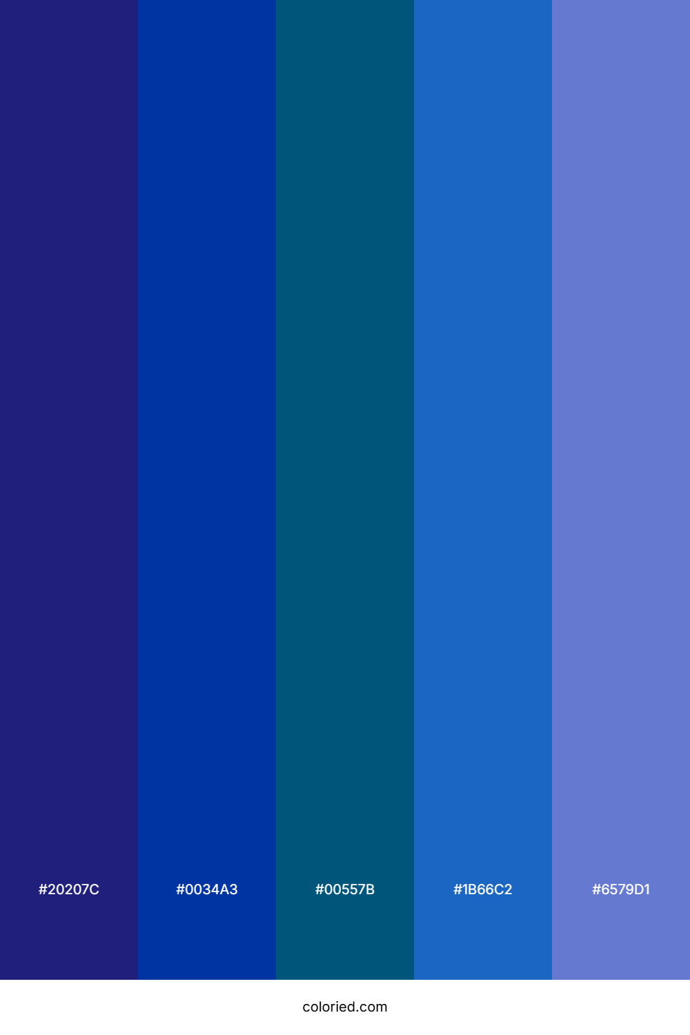 Midnight Blue and Ocean Color Palette