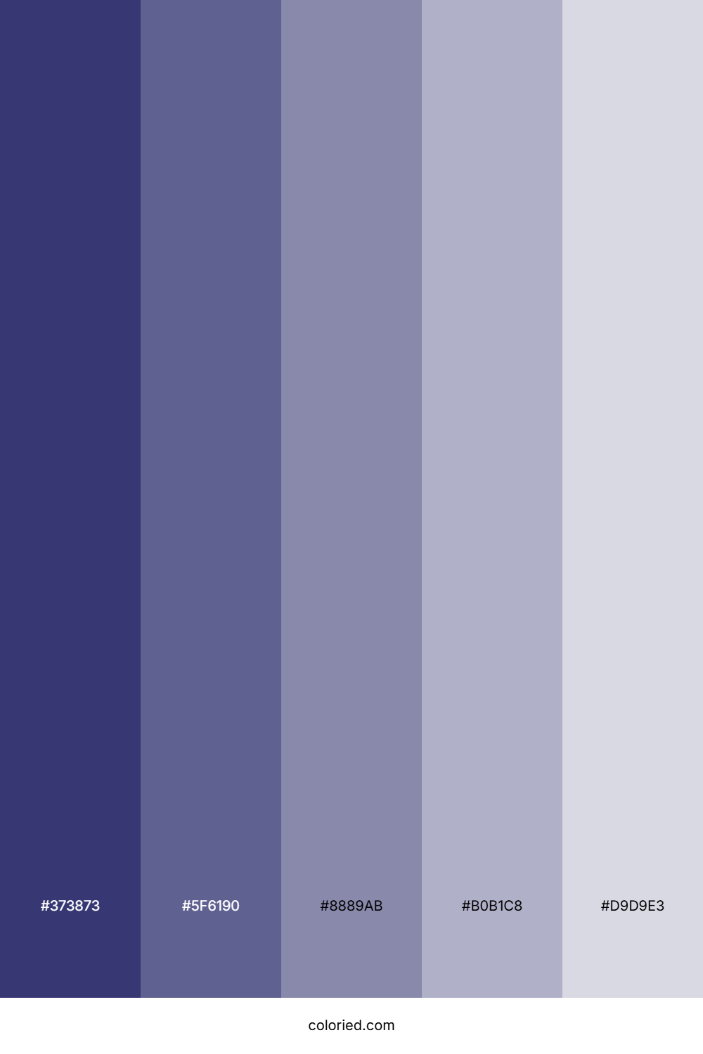 Midnight Blue and Slate Color Palette