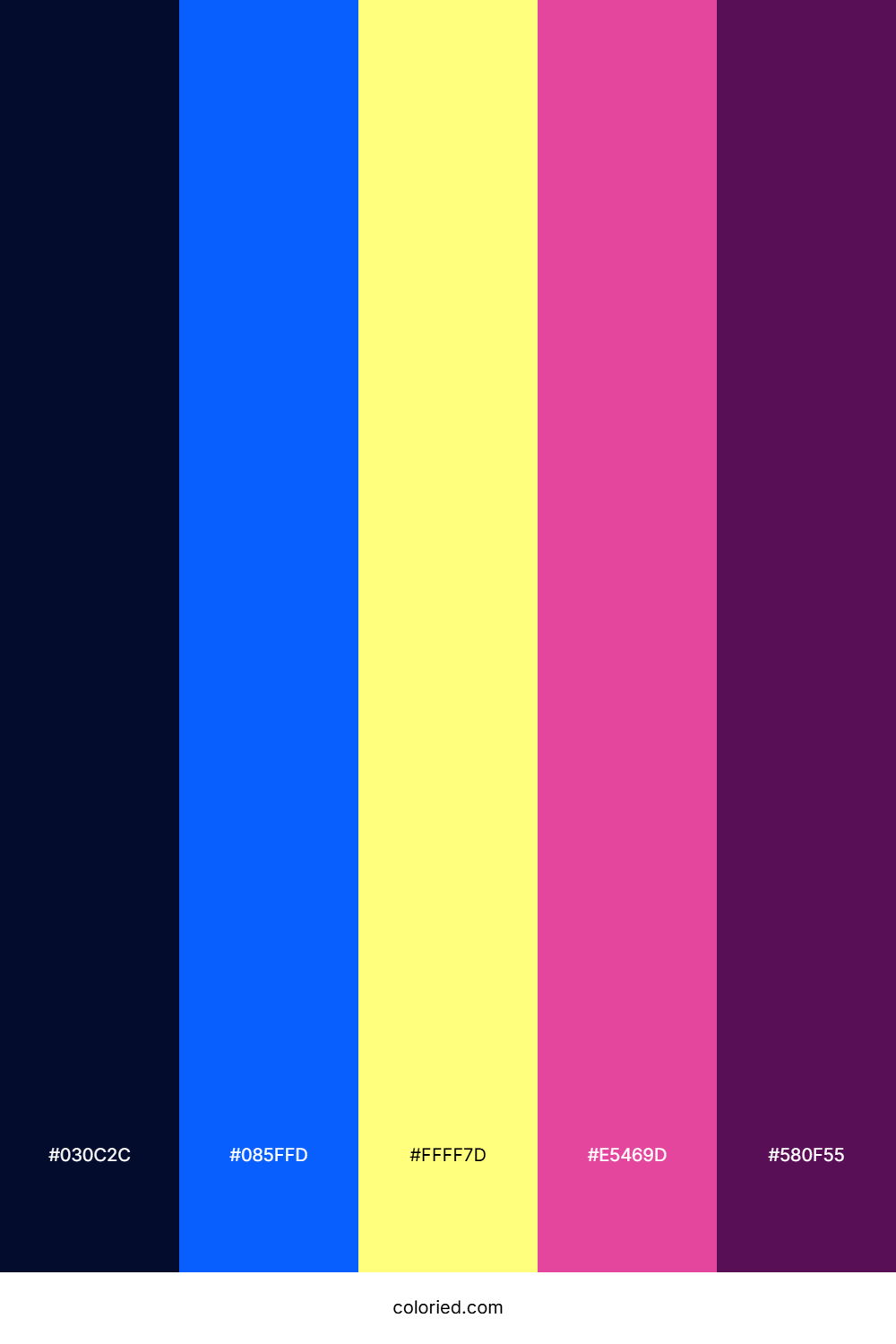 Midnight Blue Neon Color Palette