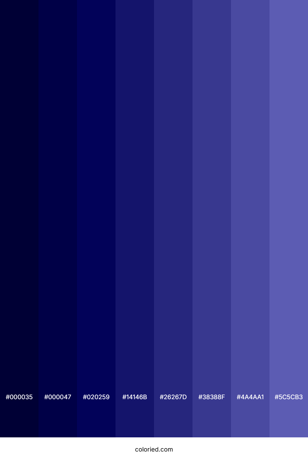 Midnight Blue Shades