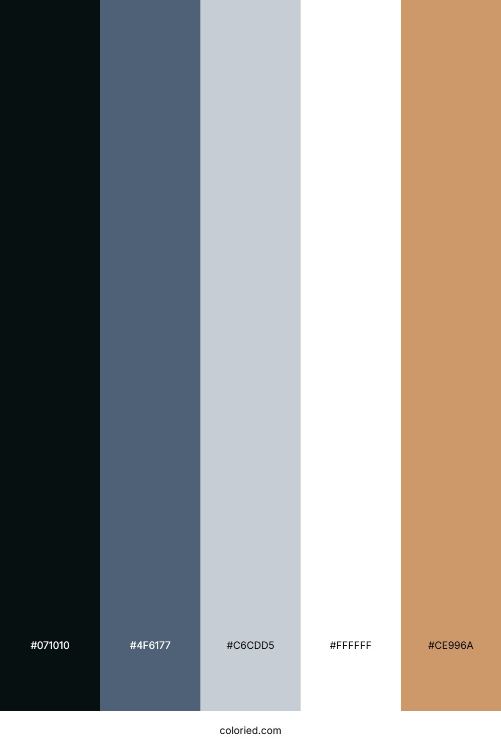 Midnight Coastal Light Color Palette