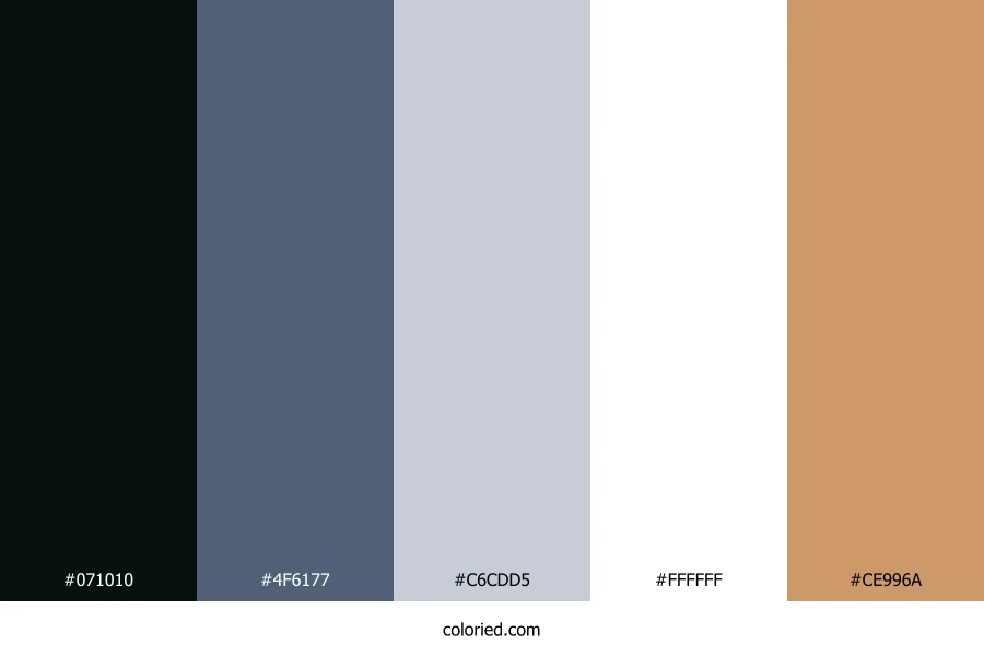 Midnight Coastal Light Color Palette