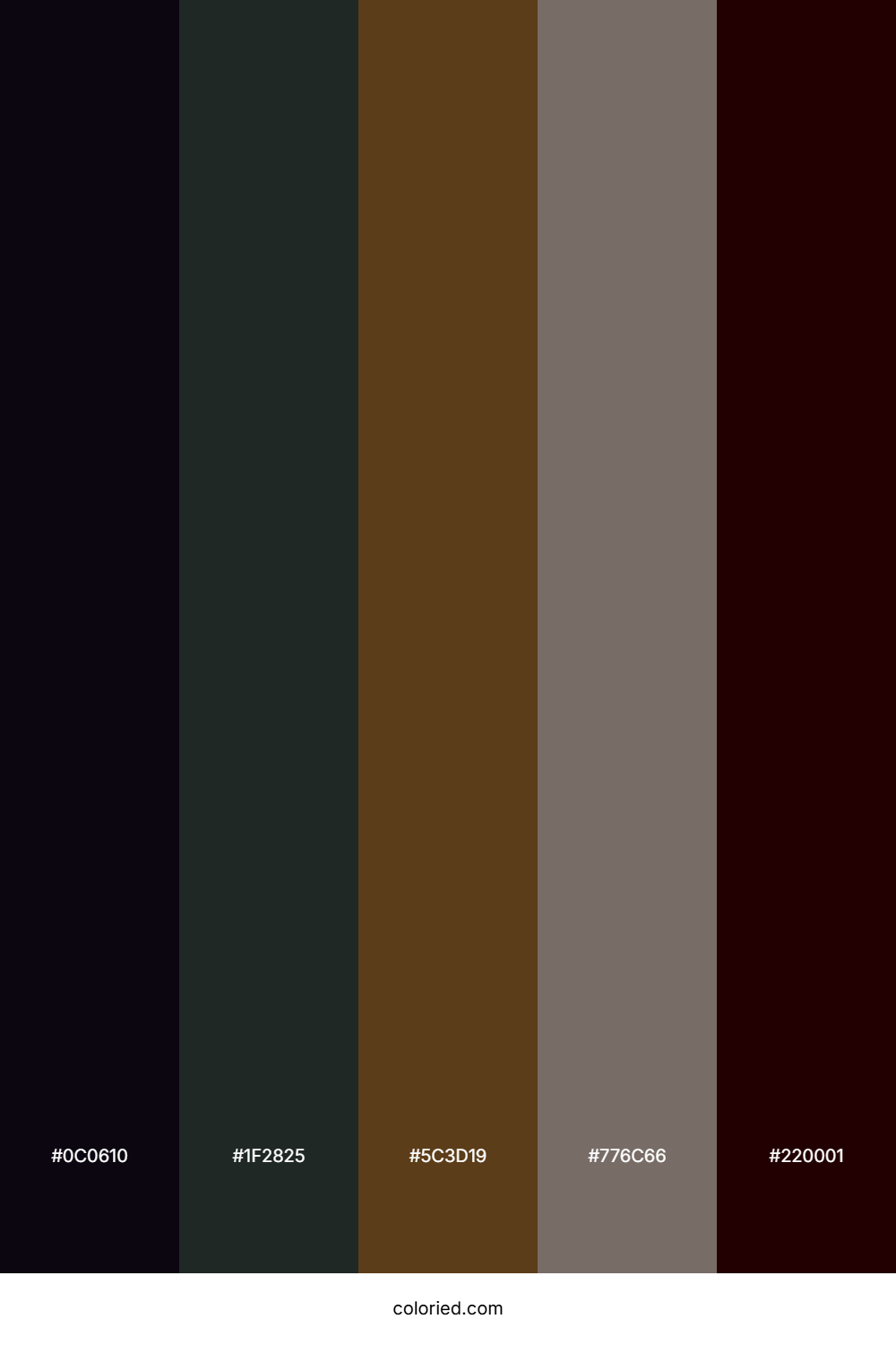 Midnight Cocoa Mist Color Palette
