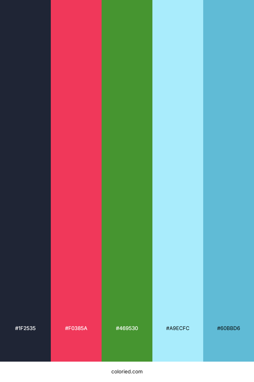 Midnight Coral Sky Color Palette