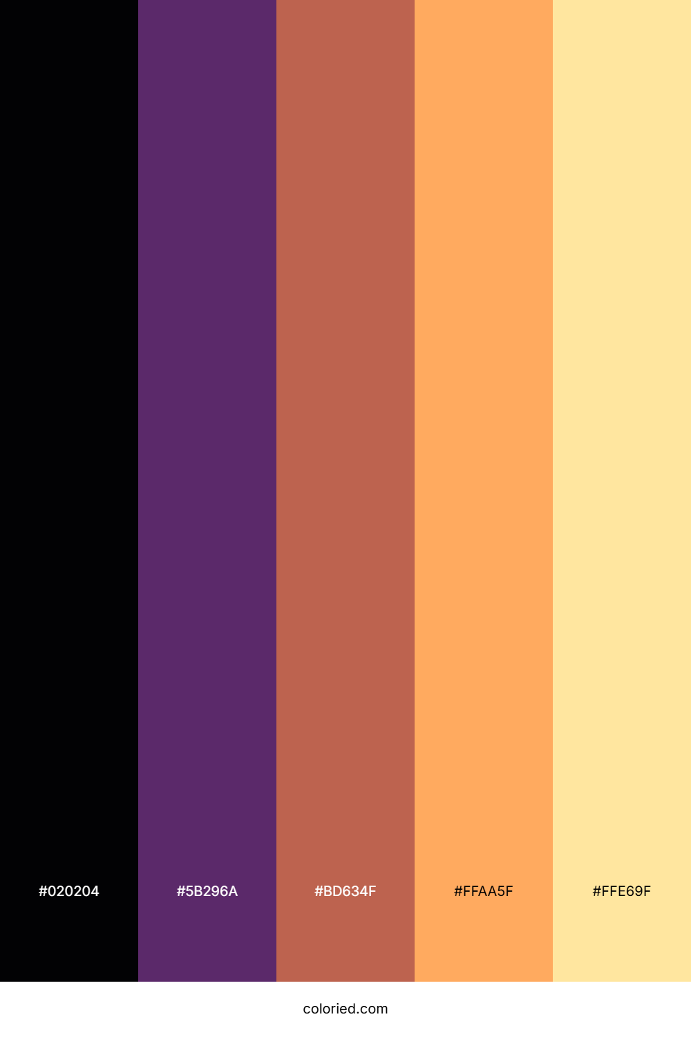 Midnight Coral Sunset Palette