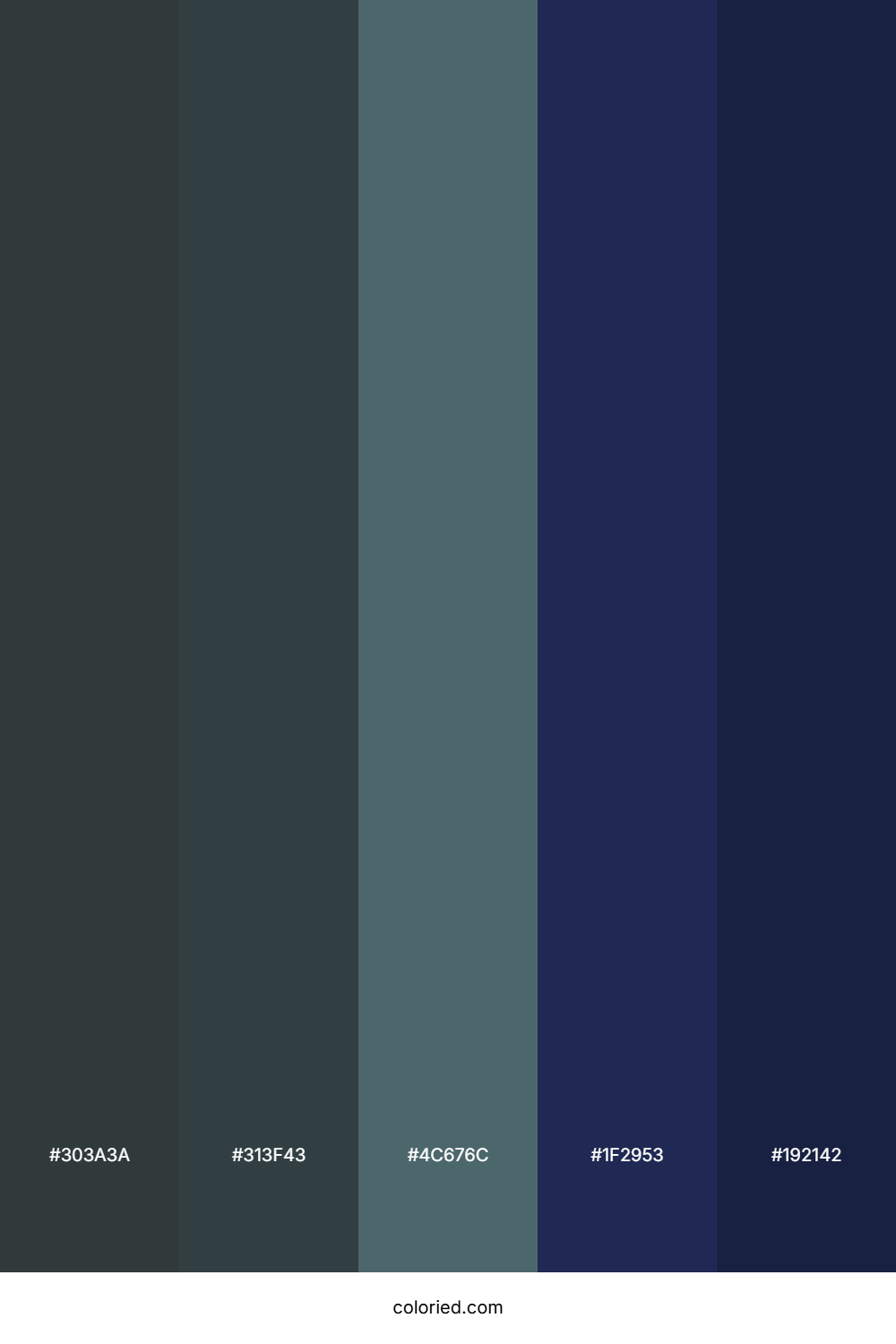 Midnight Cosmic Reef Color Palette