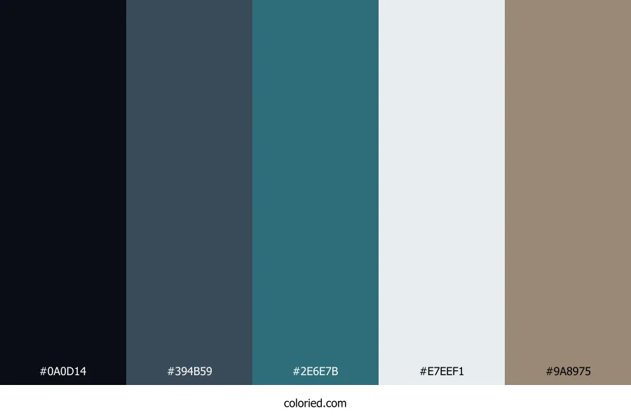 Midnight Driftwood Shadows Color Palette