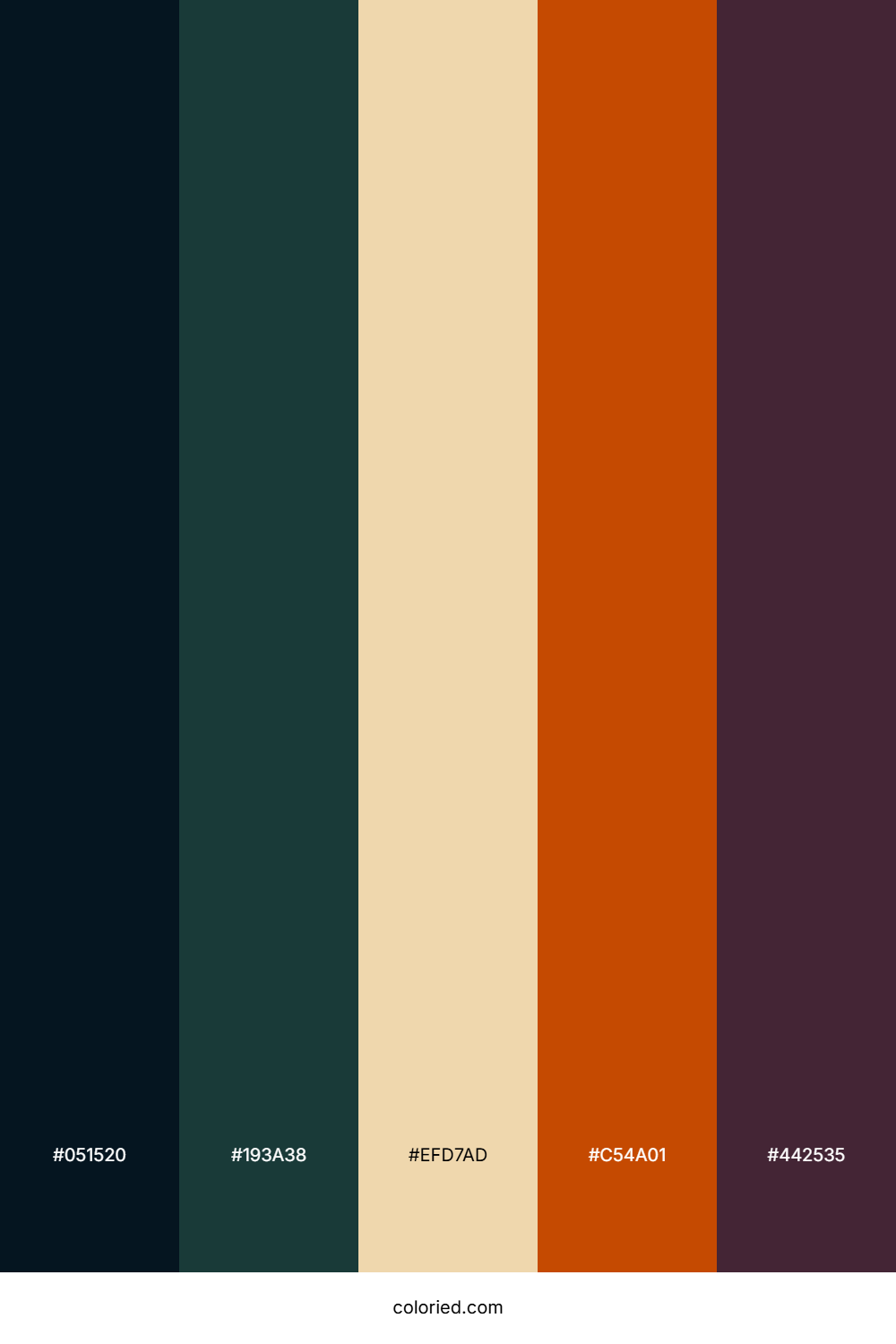 Midnight Ember Berry Color Palette