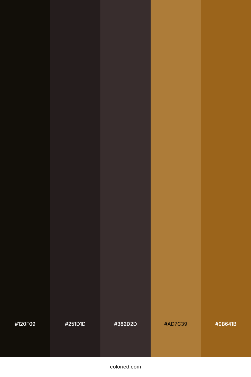 Midnight Espresso Glow Color Palette