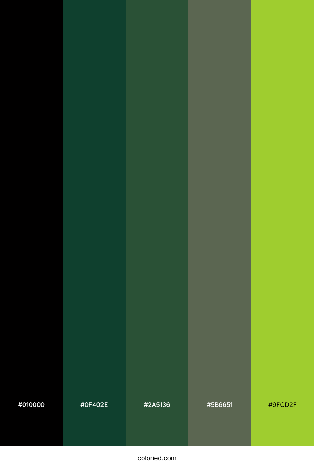 Midnight Forest Glow Color Palette