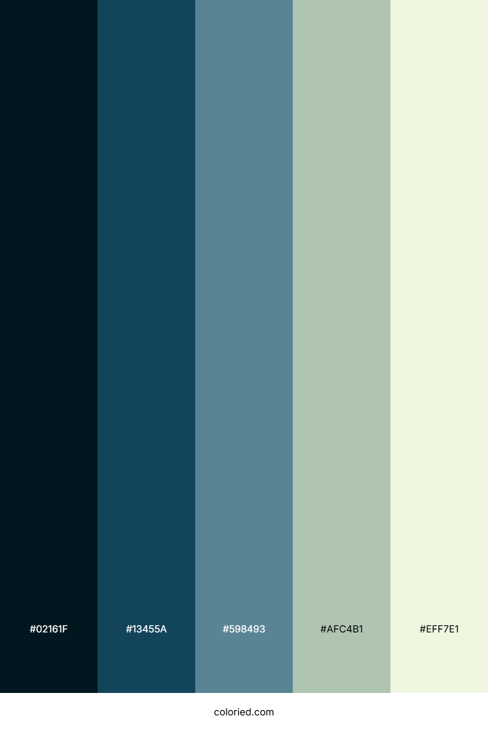 Midnight Forest Mist Palette