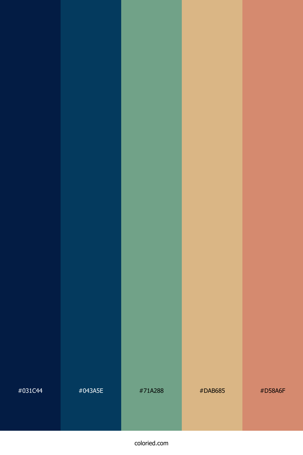 Midnight Forest Sand Palette