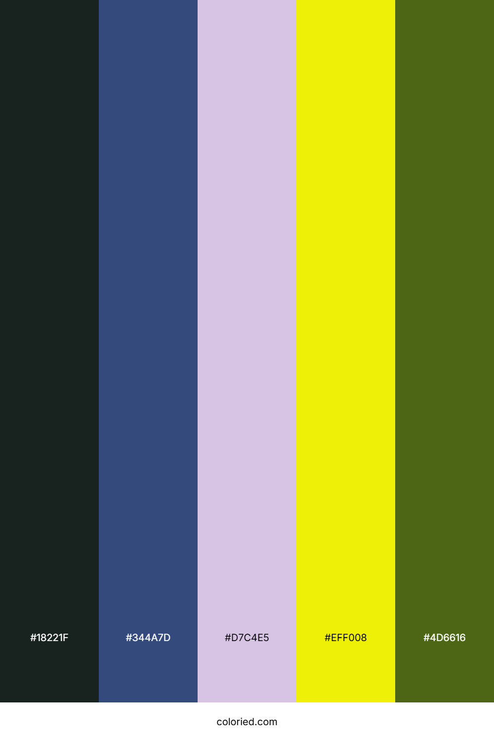 Midnight Forest Sun Color Palette