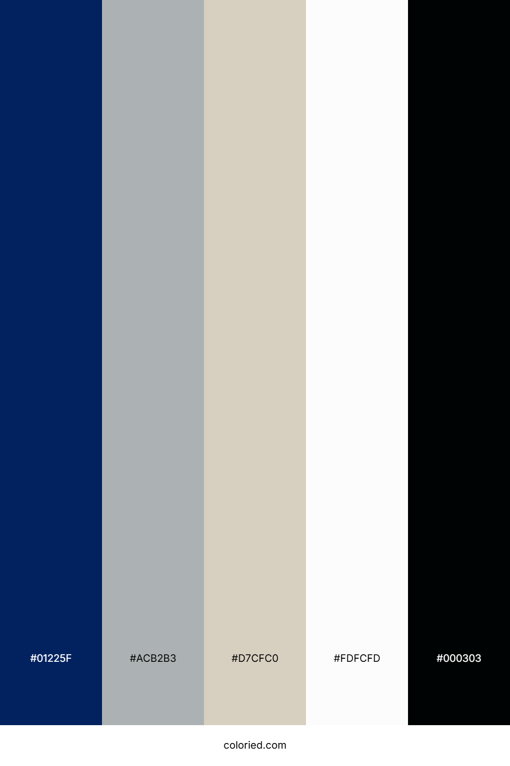 Midnight Frost Veil Color Palette