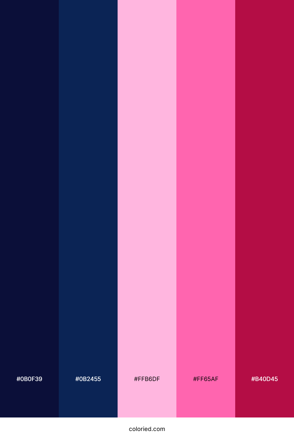 Midnight Fuchsia Shine Color Palette