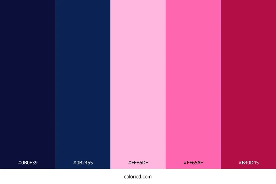Midnight Fuchsia Shine Color Palette