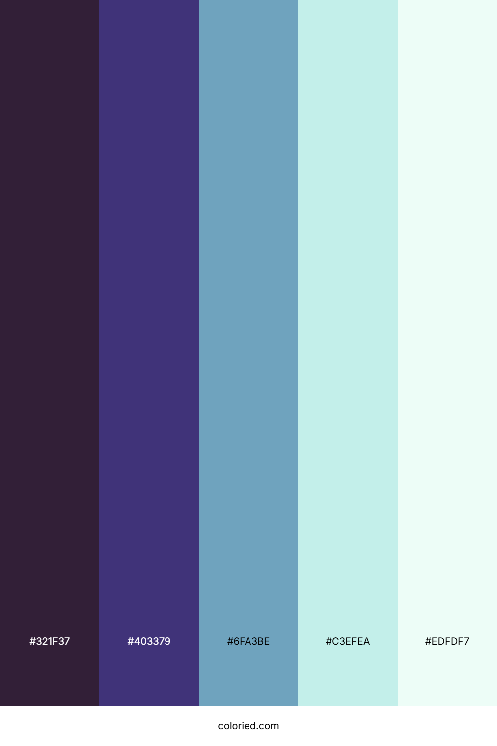 Midnight Glacier Veil Color Palette