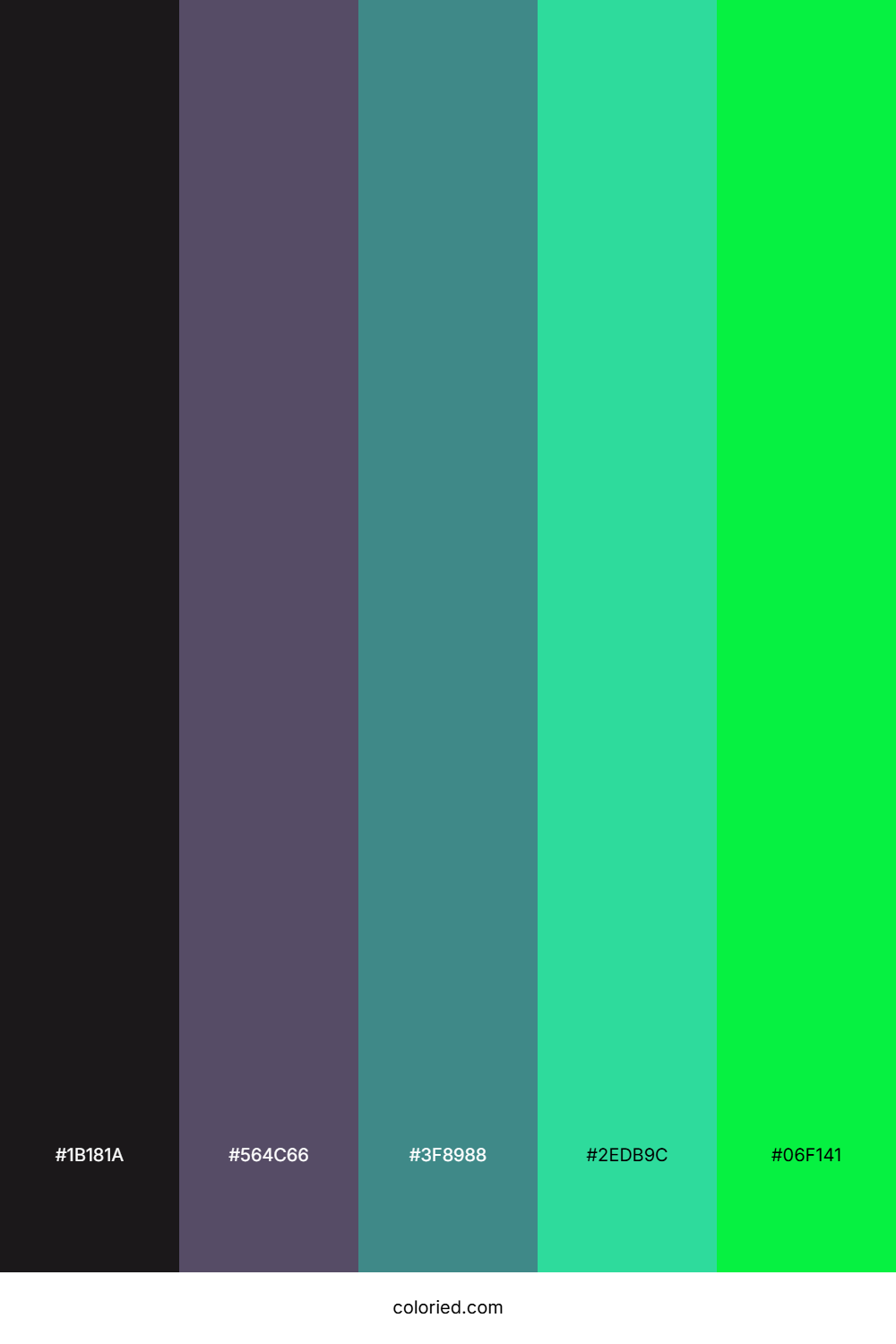 Midnight Jungle Neon Palette