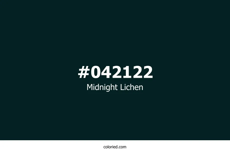 Midnight Lichen Color