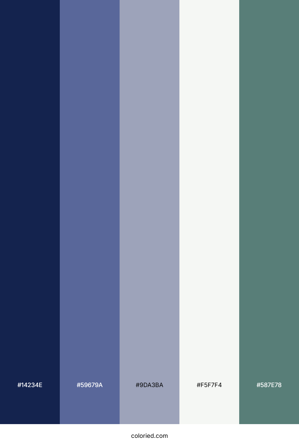 Midnight Mist Serenity Color Palette
