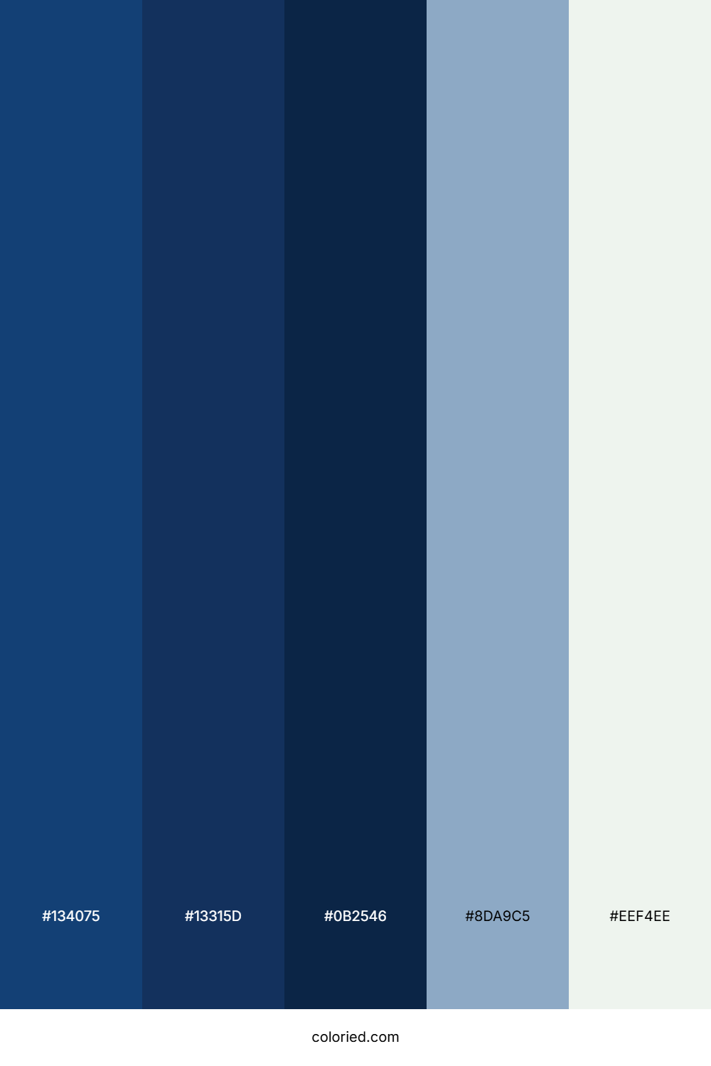 Midnight Navy Mist Color Palette