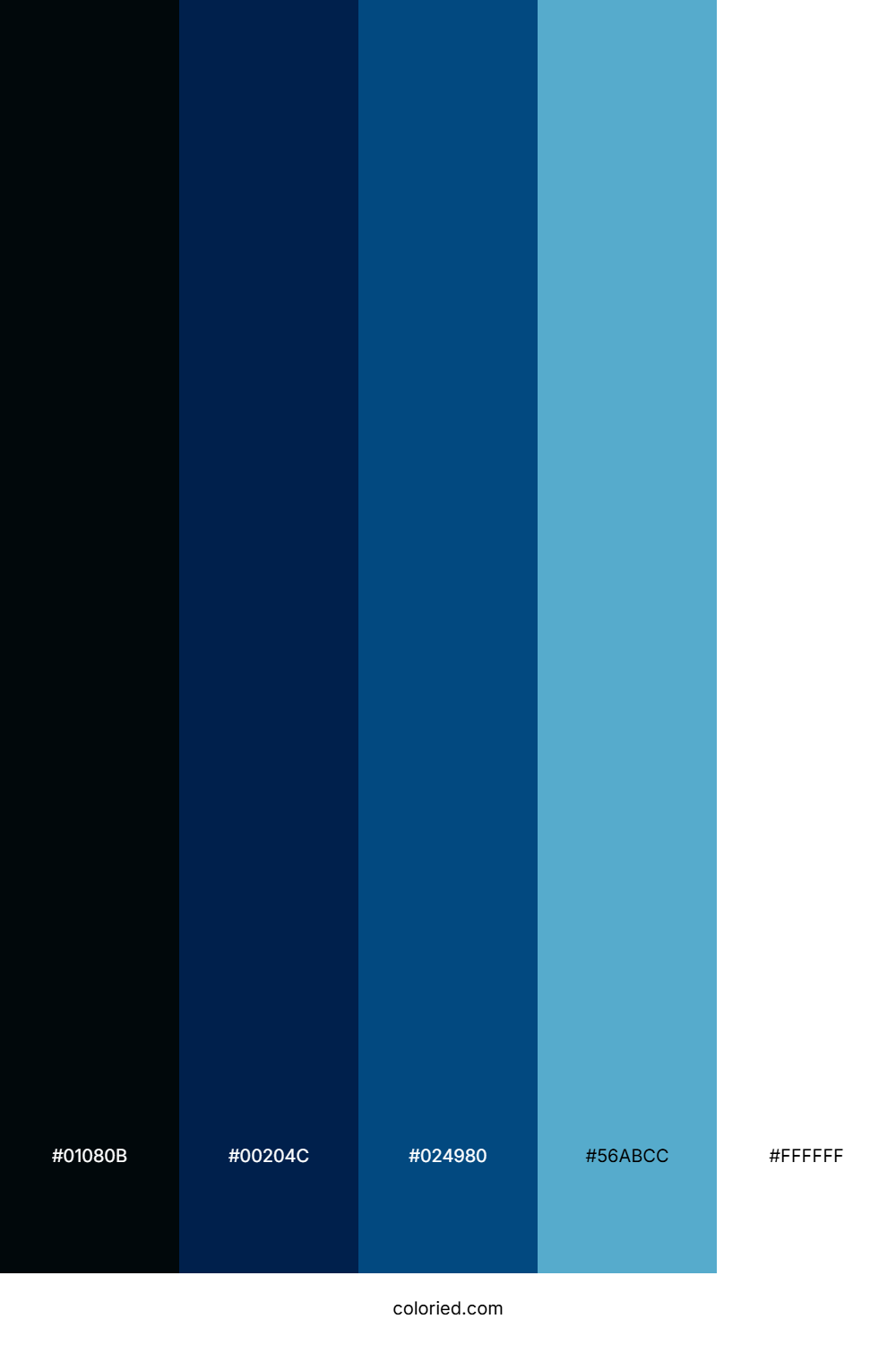 Midnight Ocean Foam Color Palette