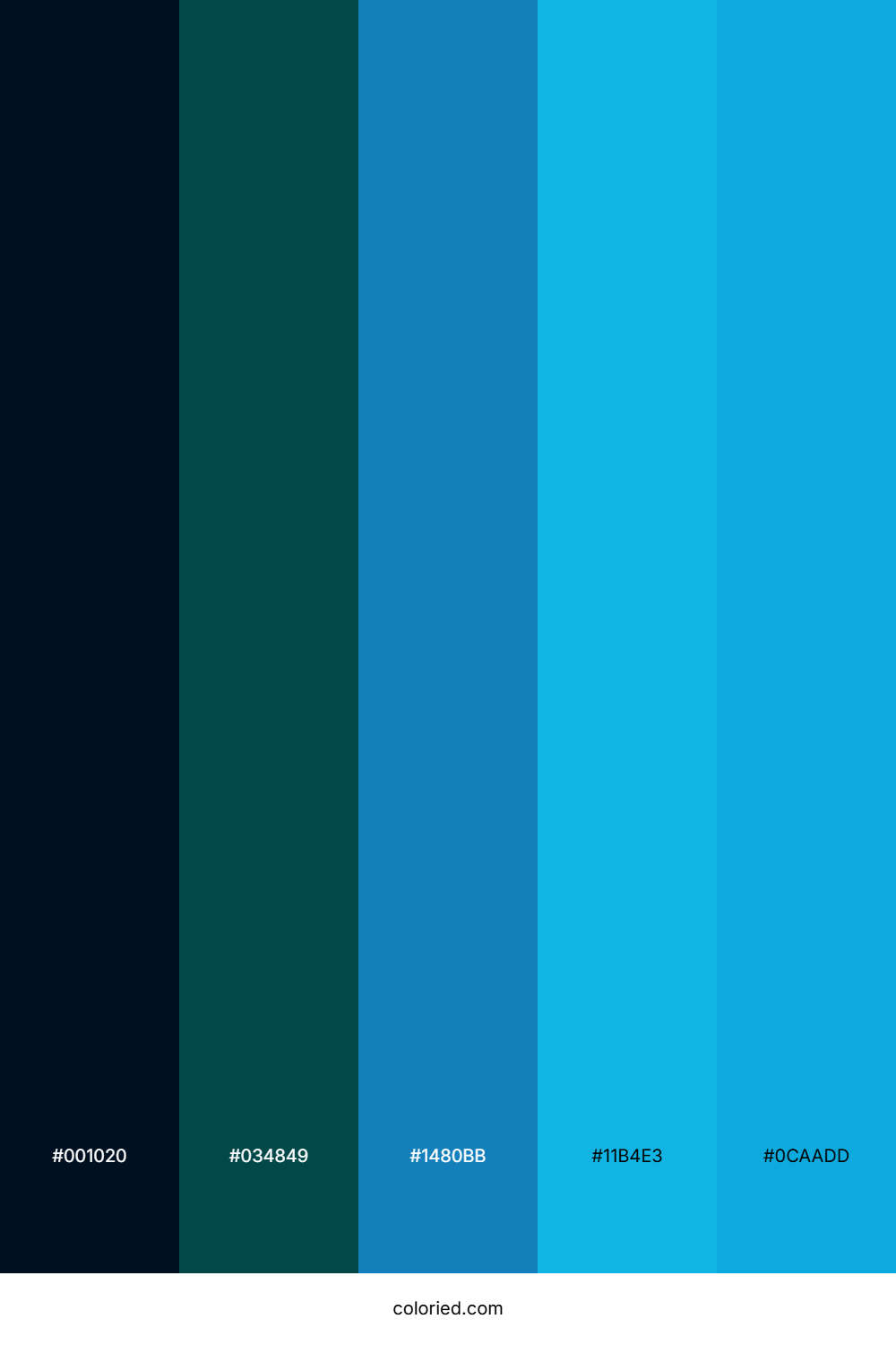 Midnight Ocean Glow Color Palette