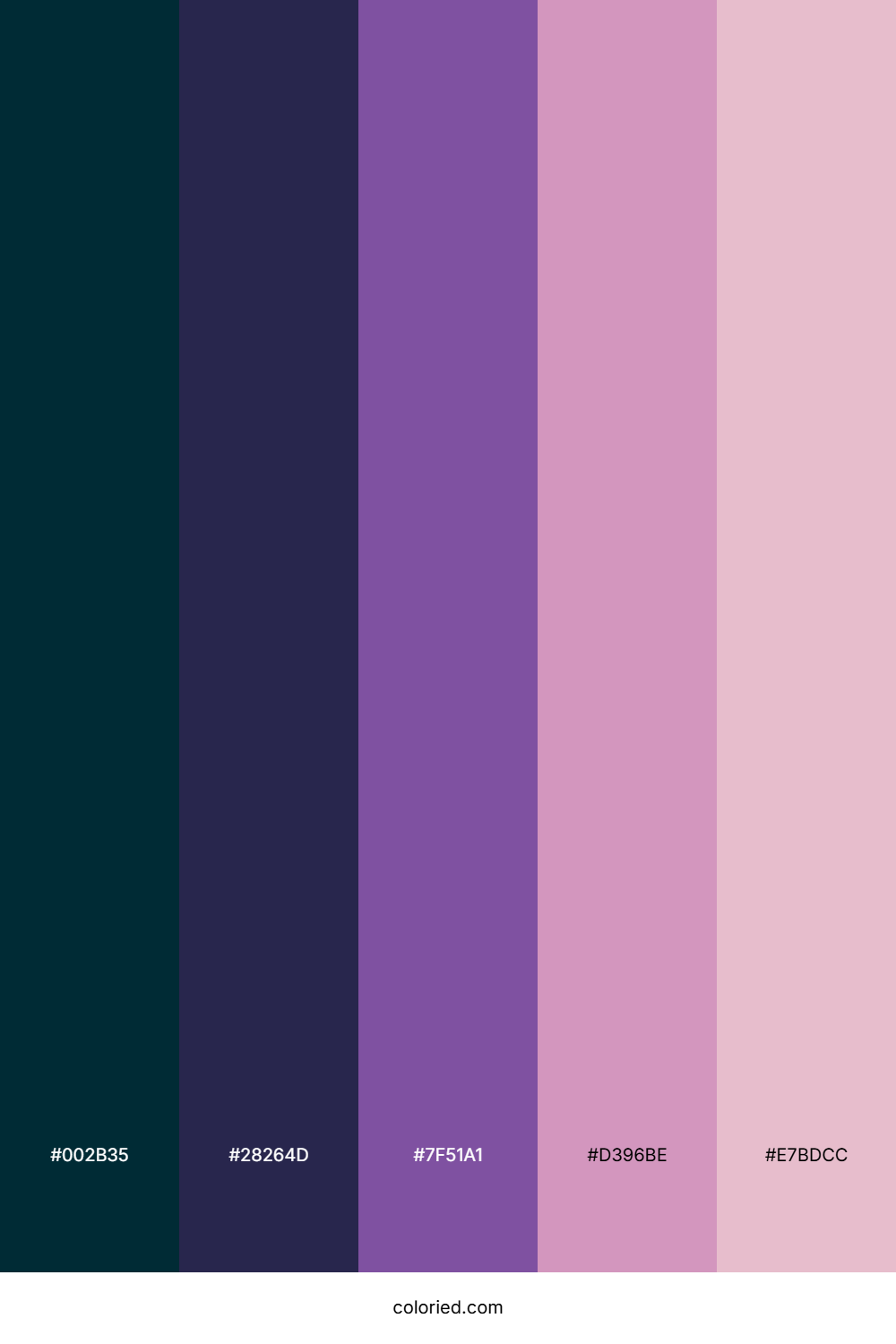 Midnight Orchid Bloom Color Palette