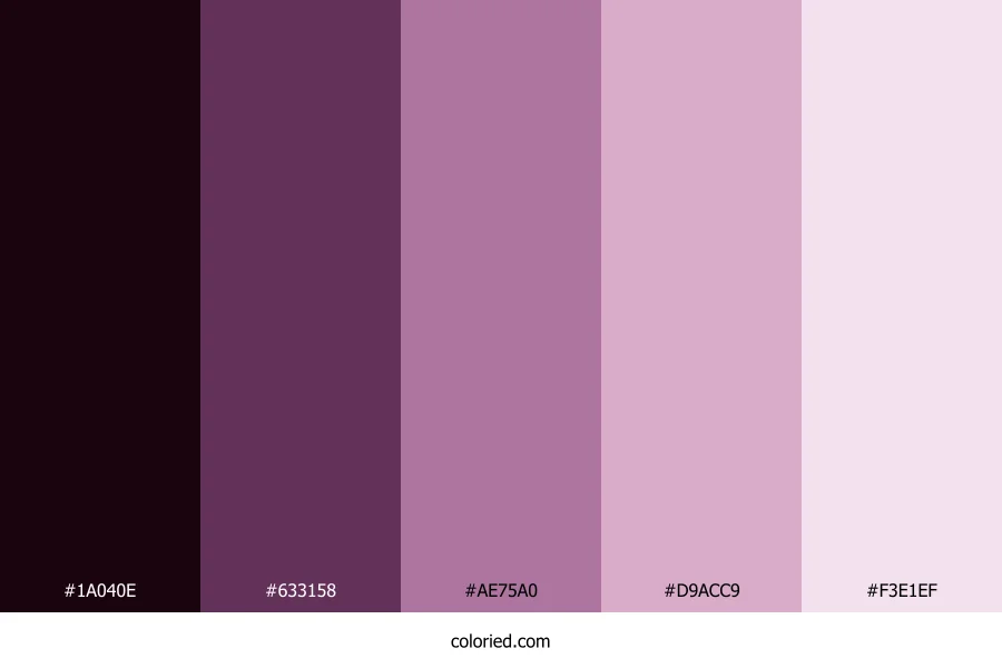 Midnight Orchid Blossom Color Palette