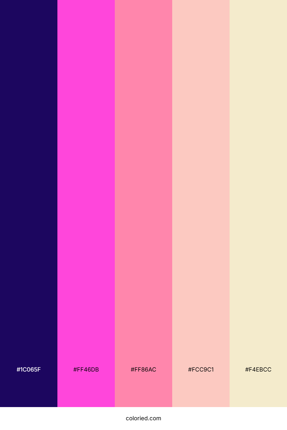 Midnight Pink Glow Color Palette