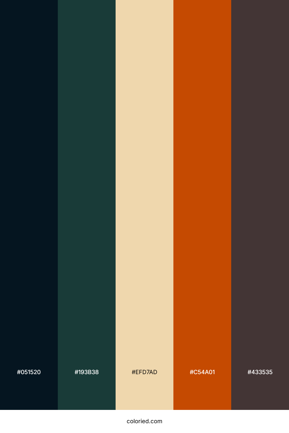Midnight Pumpkin Forest Palette