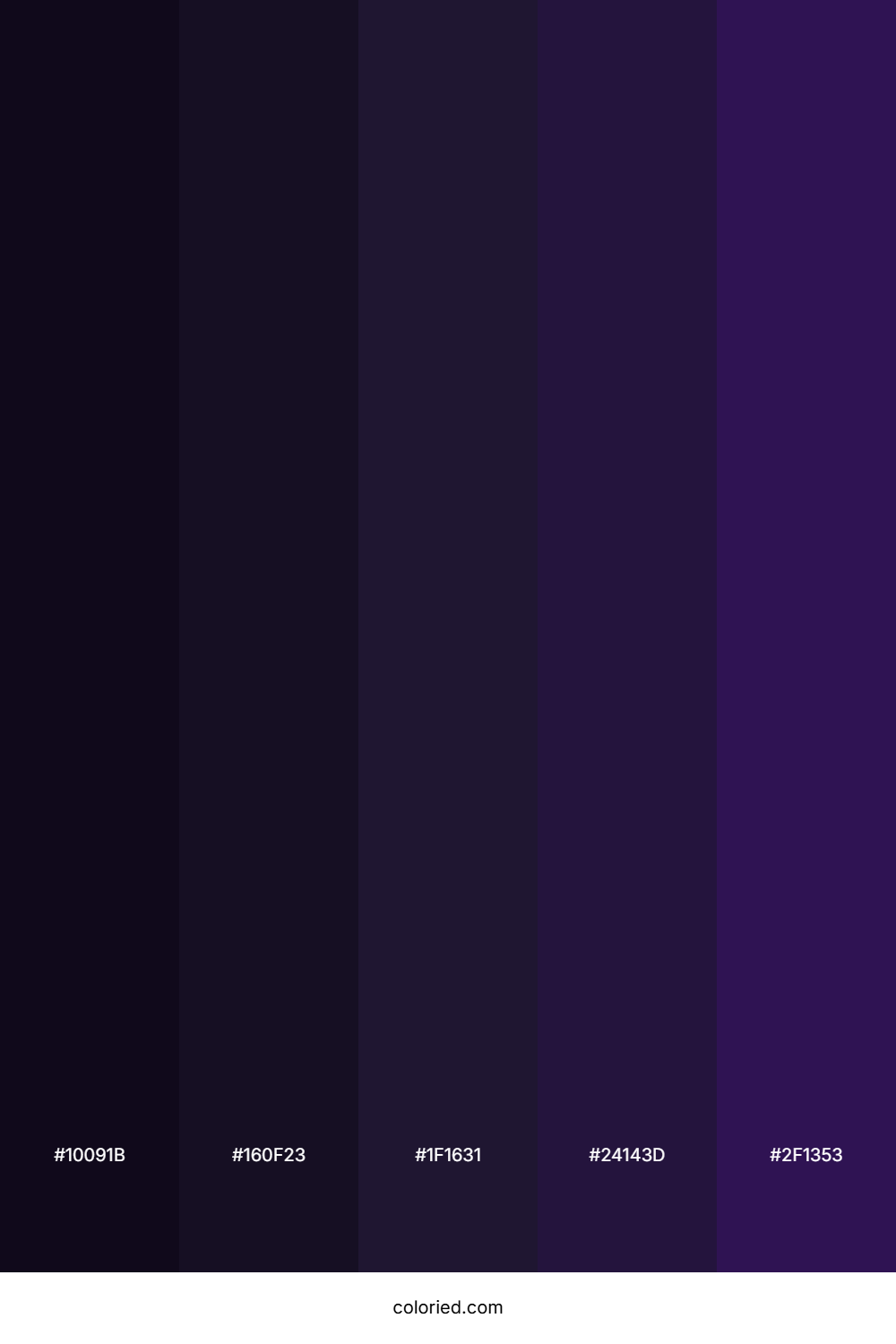 Midnight Purple and Deep Violet Color Palette
