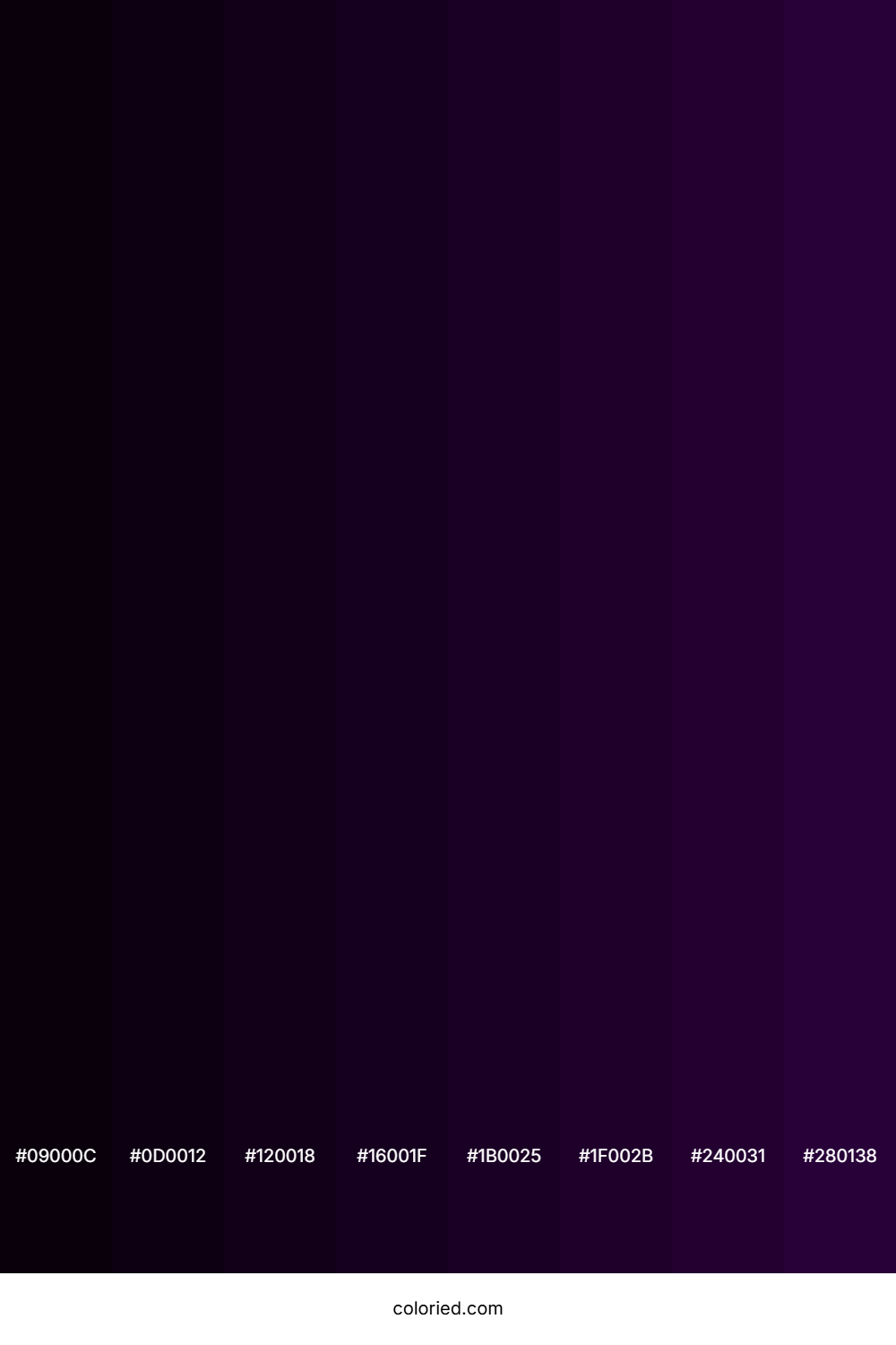 Midnight Purple Color Shades