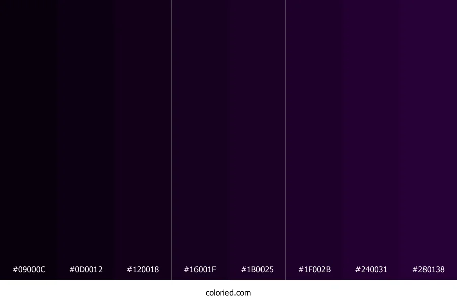 Midnight Purple Color Shades
