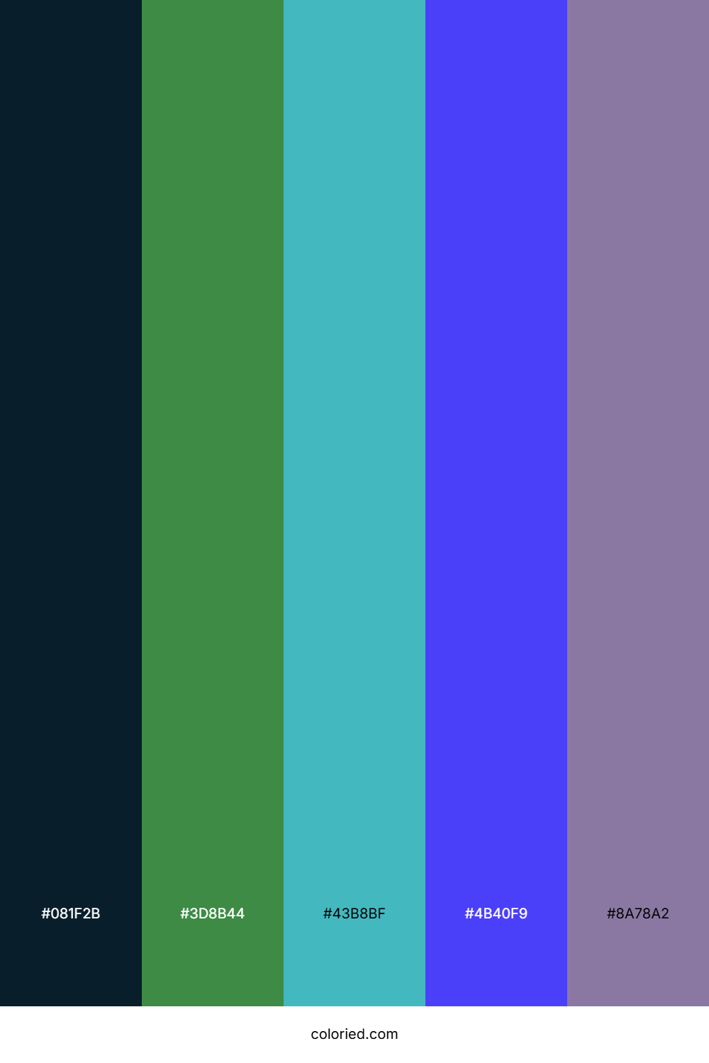 Midnight Reef Bloom Color Palette