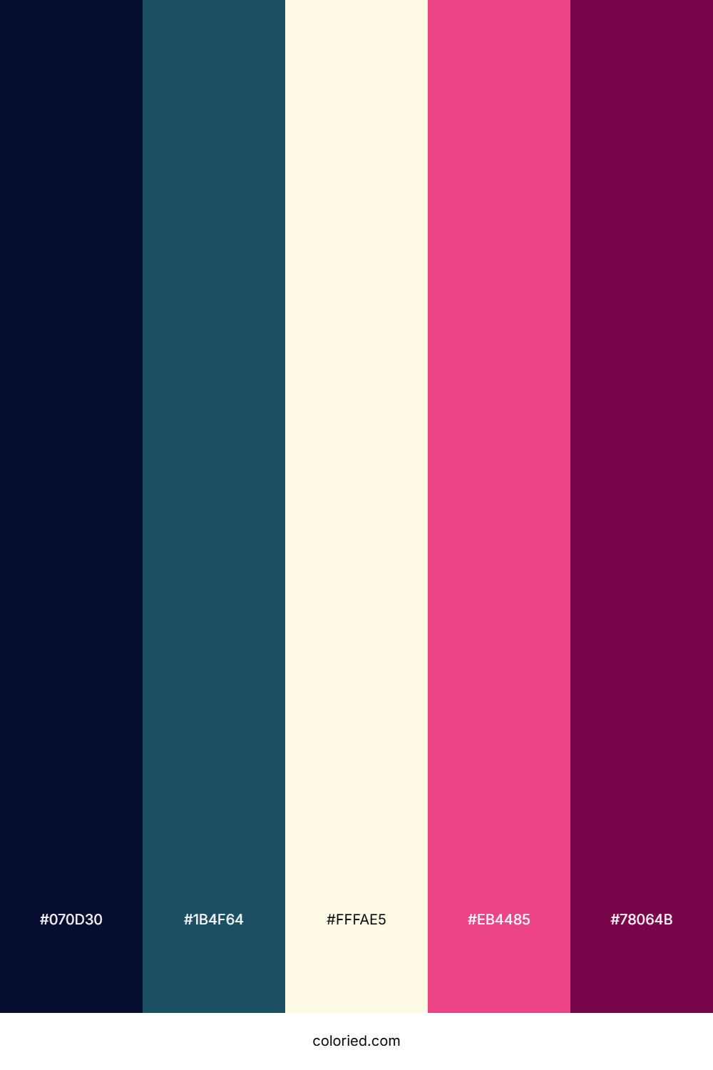 Midnight Rosewater Shine Color Palette